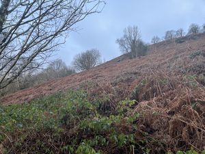 Photo 5- click for photo gallery